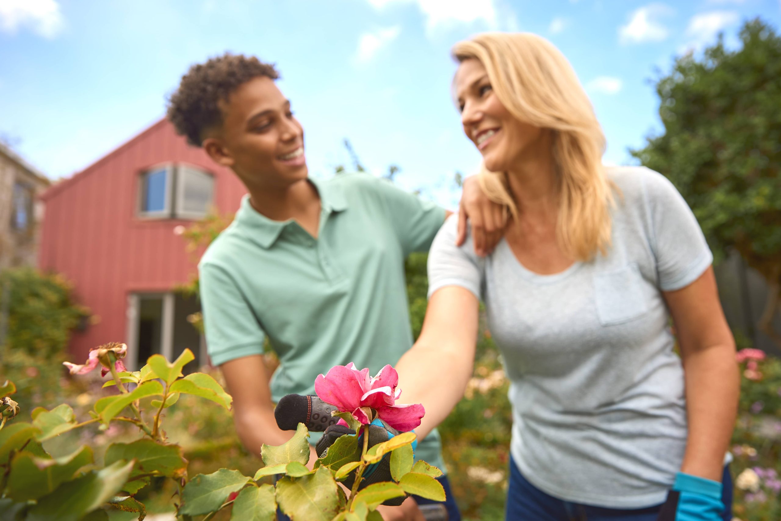 Here are the Best Strategies for Caring for Spring Blooming Plants